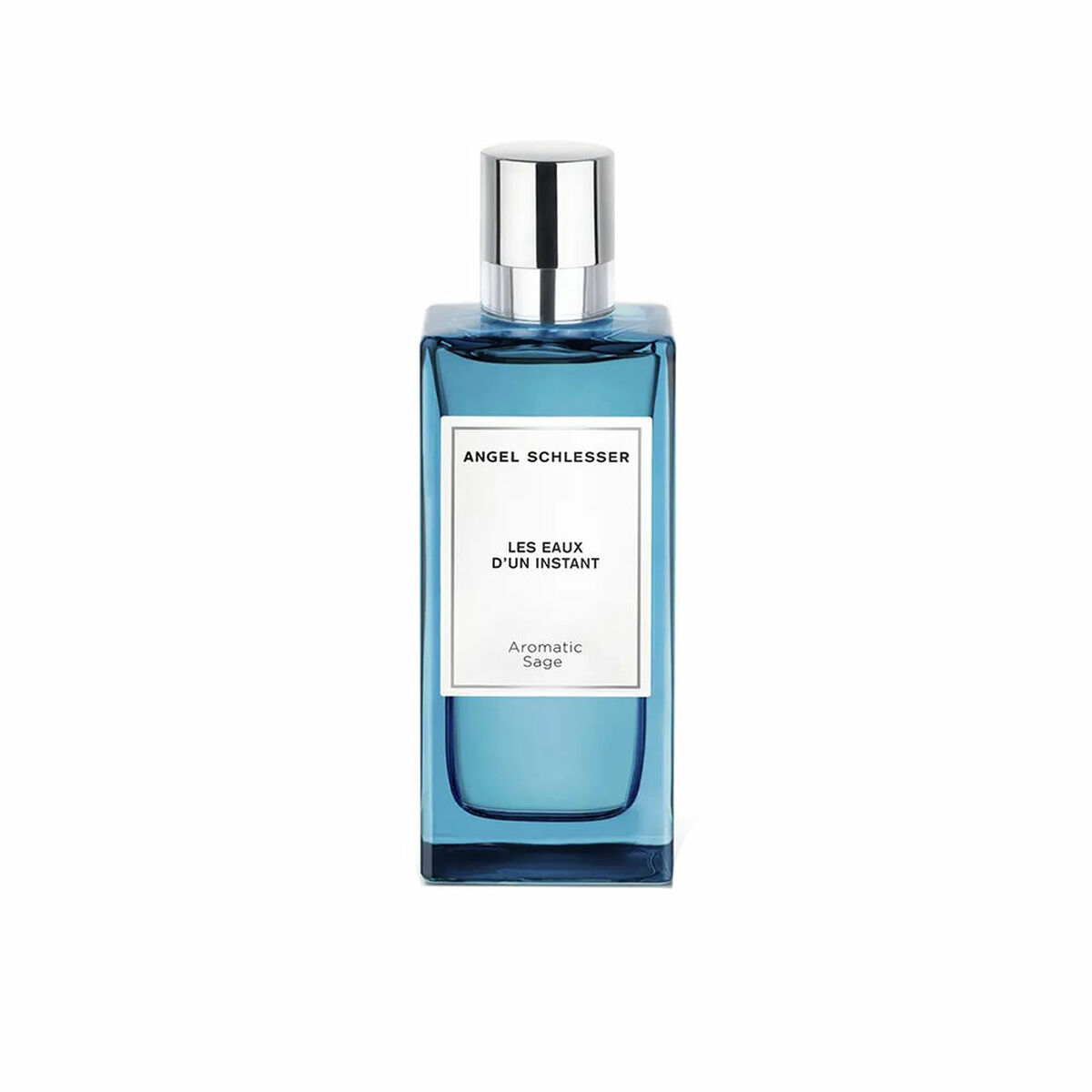 Pánský parfém Angel Schlesser EDT 100 ml